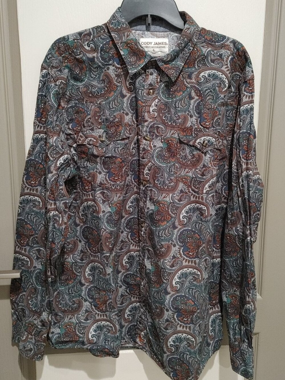 Cody James Men's Colorado Ridge Paisley Print Long Sleeve Snap Western Shirt